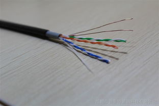 广东普菲特电线电缆厂室外双护套网线0.51全铜CAT5E评测 耐用与稳定的网络传输新选择