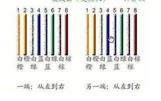 TCL多媒体盒网线接法全攻略 轻松实现网络连接